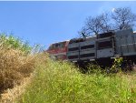 VLI 8383